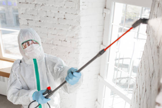 Mold Removal for HVAC Installations in West Miami, FL