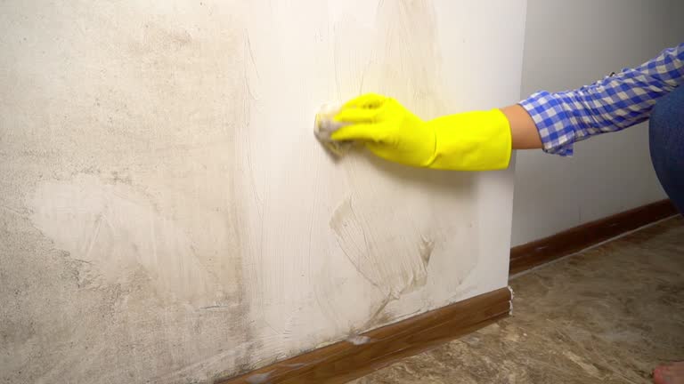 Best Comprehensive Air Testing for Mold Contaminants  in West Miami, FL