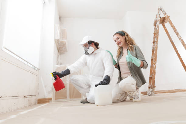 Best Black Mold Removal  in West Miami, FL
