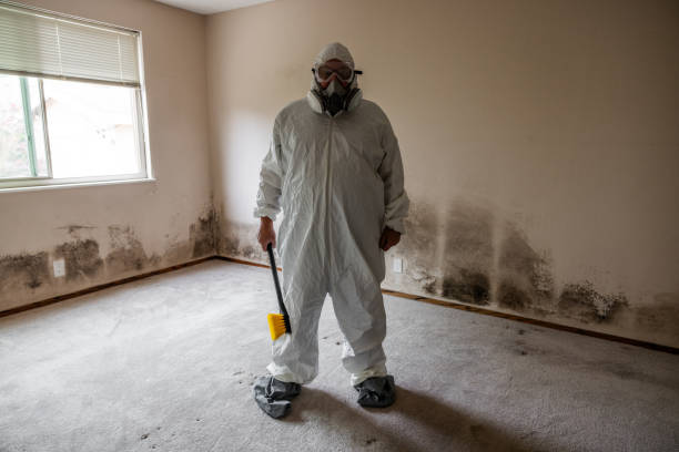 Best Mold Odor Removal Services  in West Miami, FL