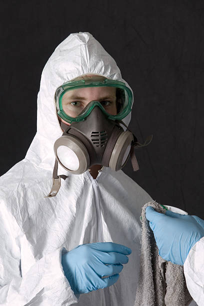 Best Basement Mold Removal  in West Miami, FL